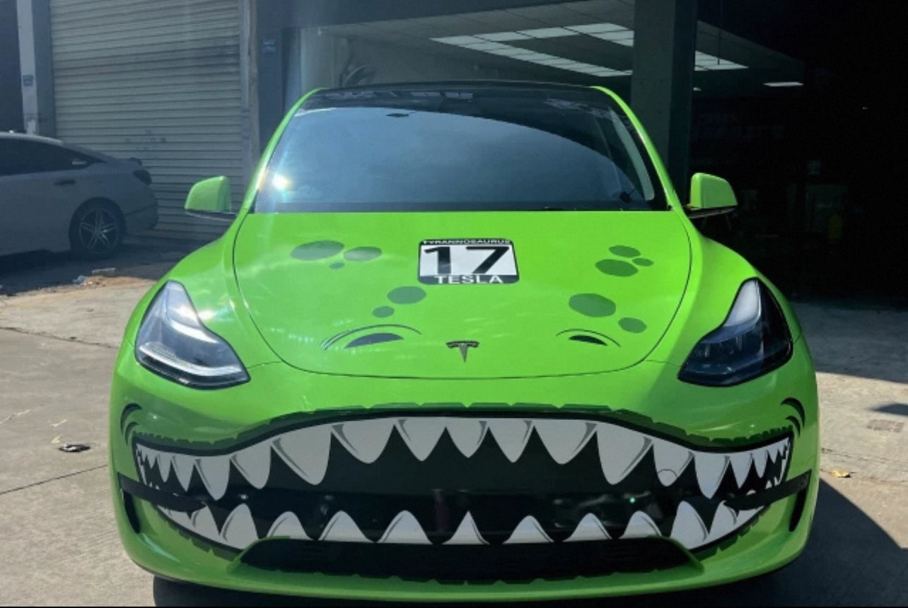 Shark Snout Sticker