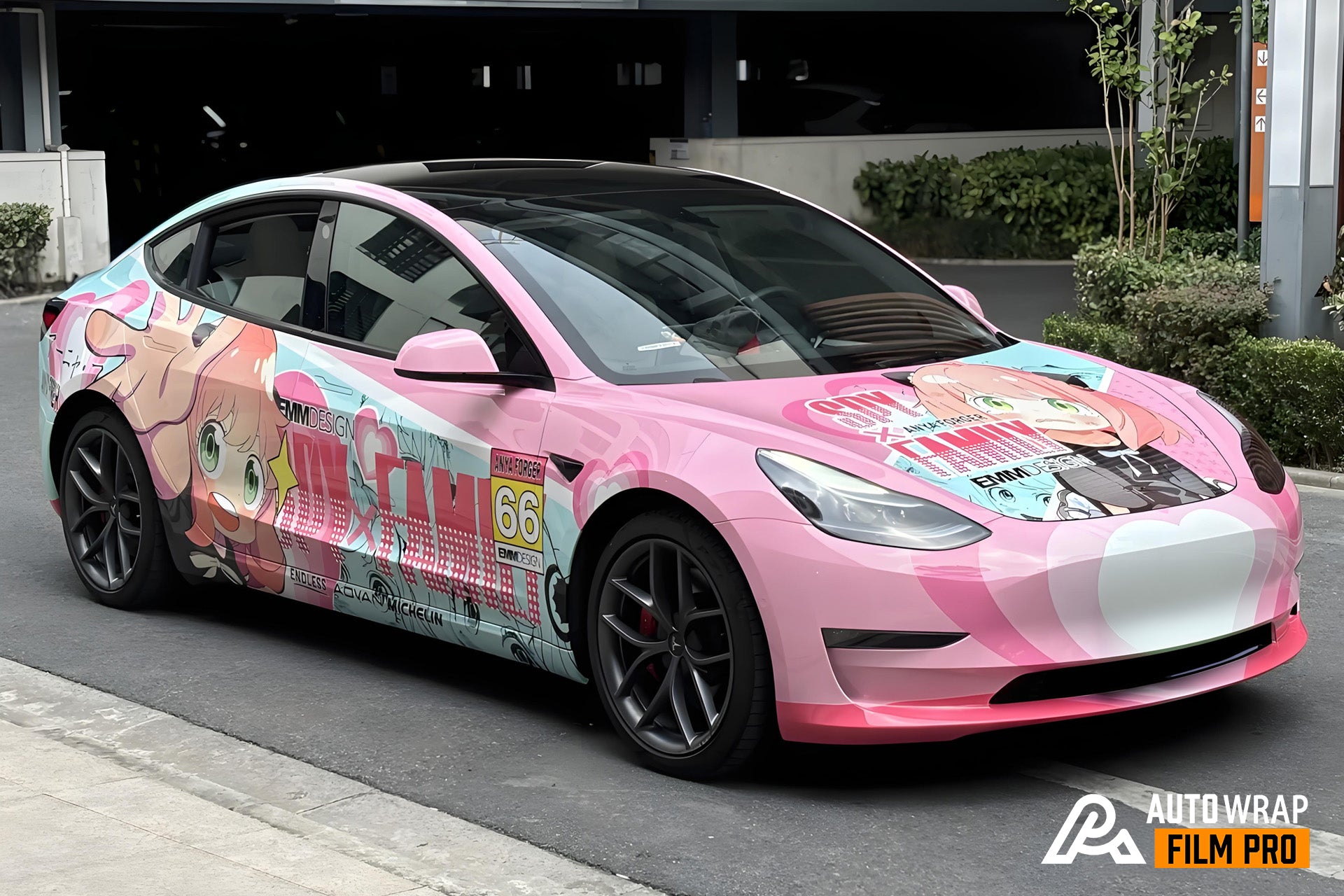 Aniya A Car Wrap