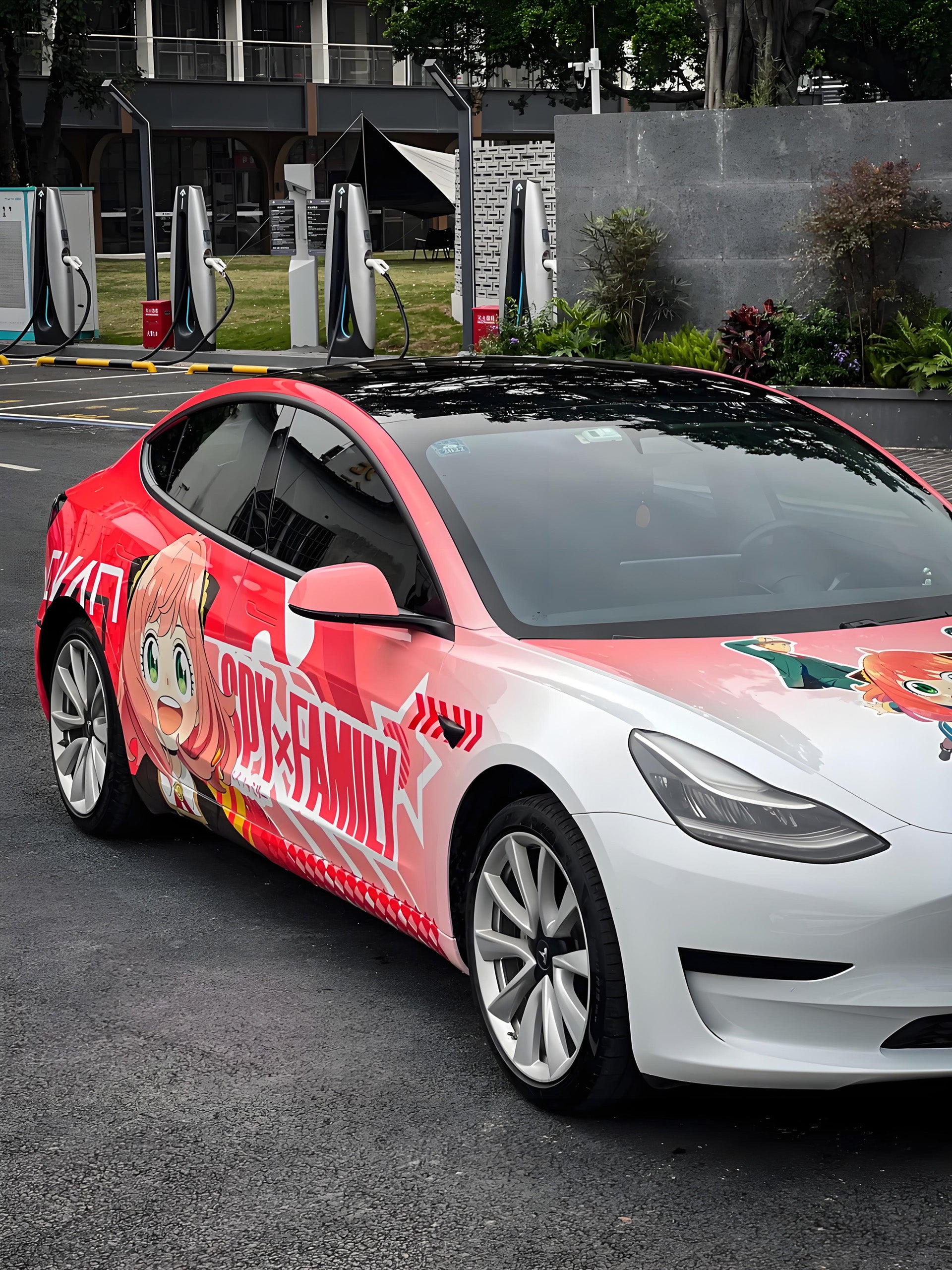 Aniya B Car Wrap