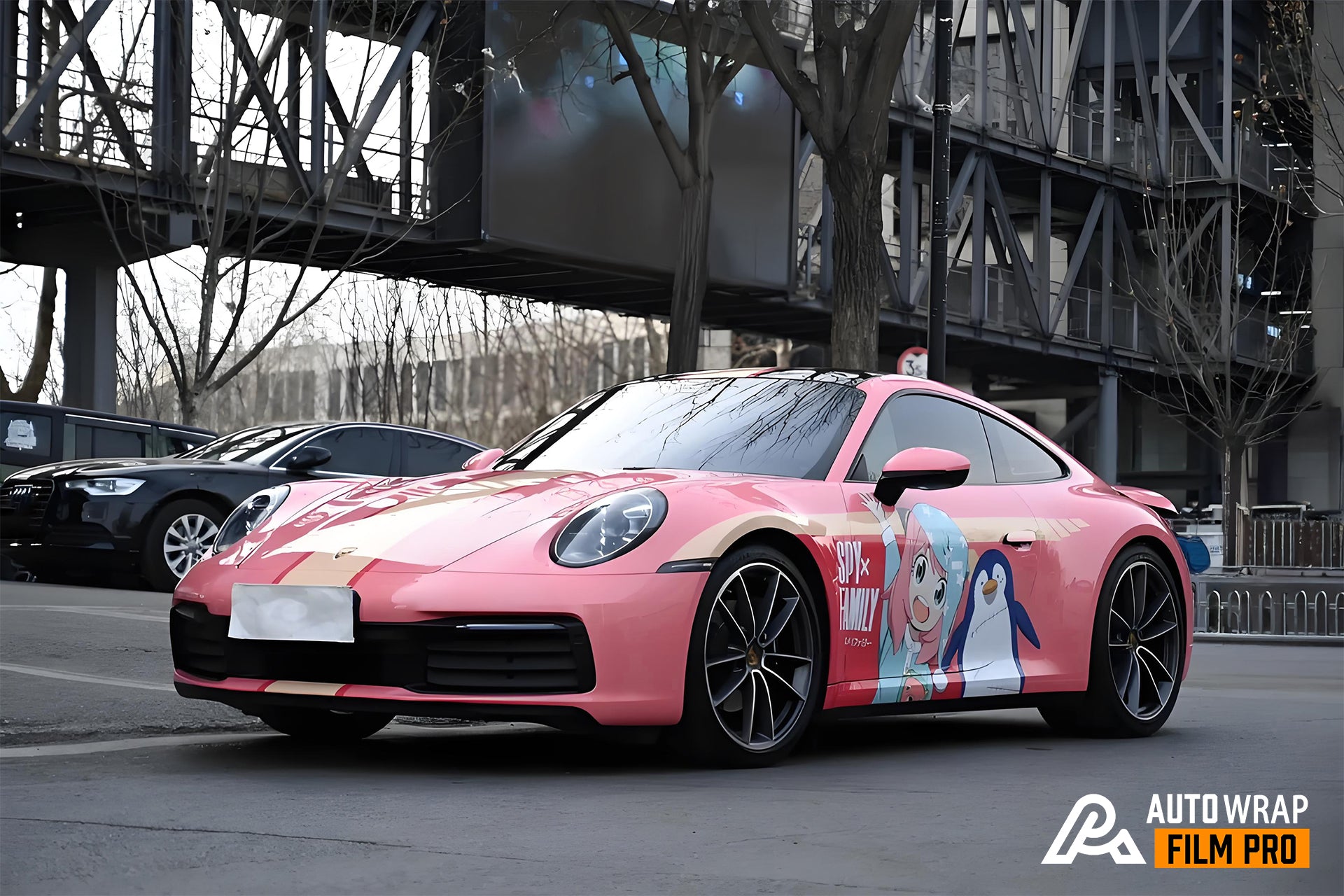 Aniya C Car Wrap