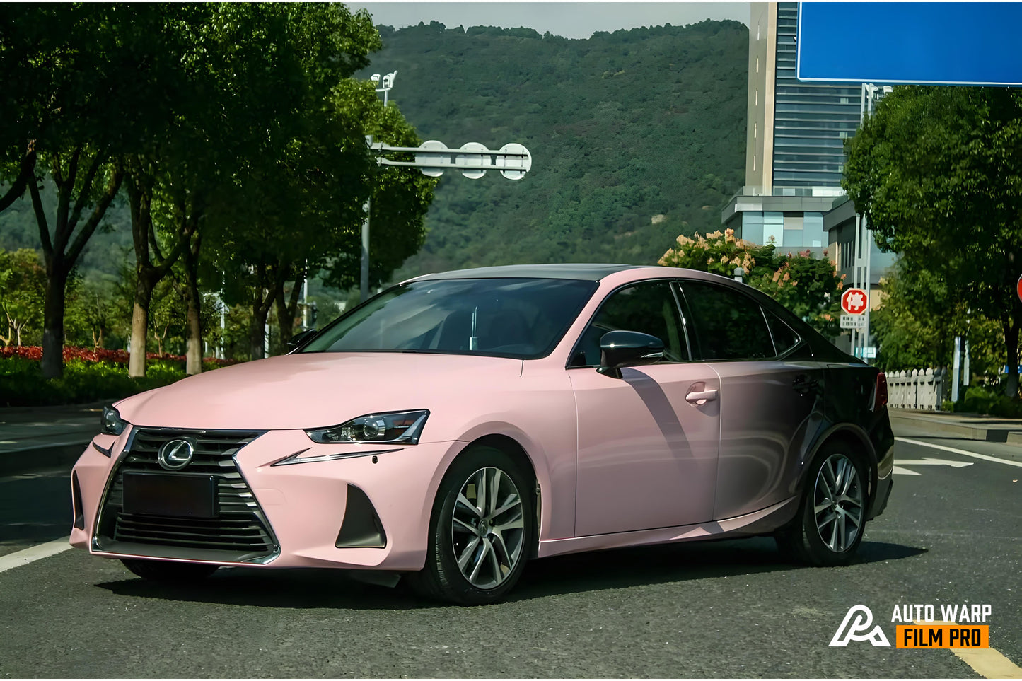 Black Pink Gradient Full Size Car Wrap