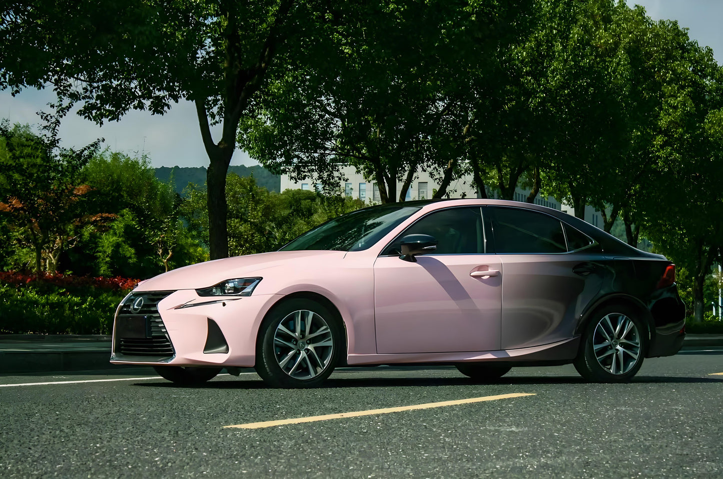Black Pink Gradient Full Size Car Wrap