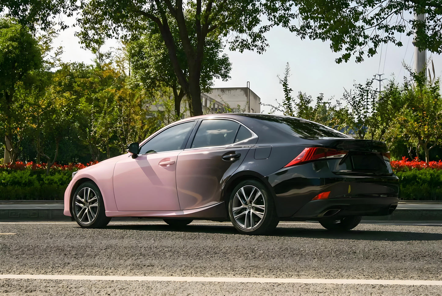 Black Pink Gradient Full Size Car Wrap