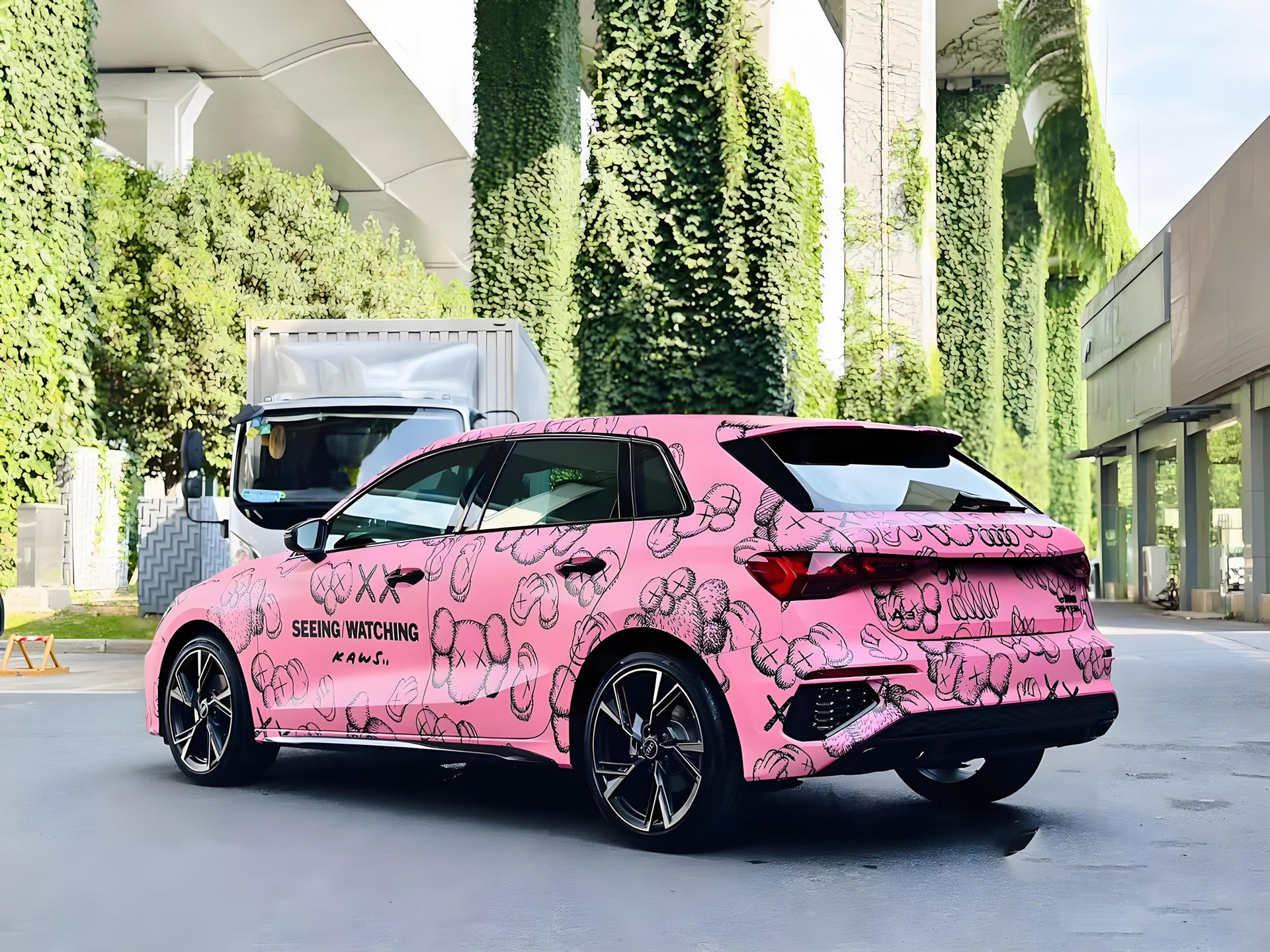 Pink Sesame Street  Full Size Car Wrap