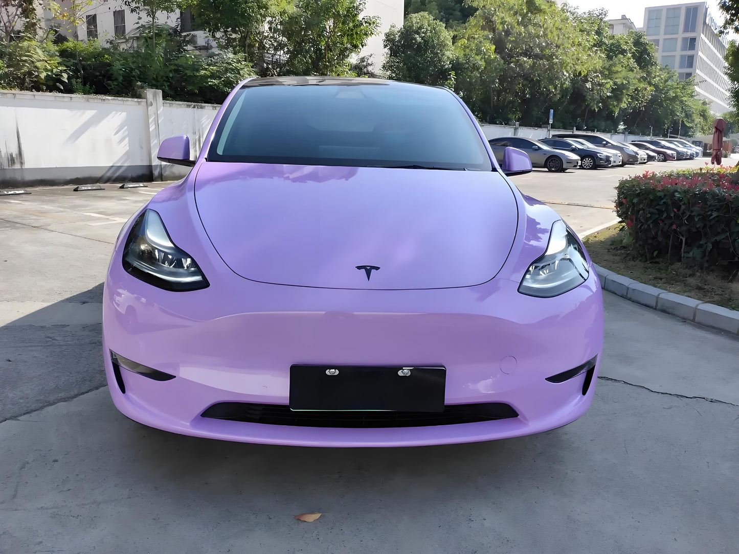 Purple Pink Gradient Full Size Car Wrap