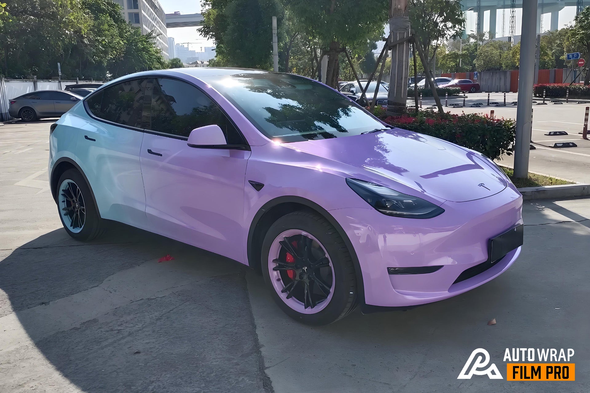 Lila-Rosa Farbverlauf-Autofolie in voller Größe