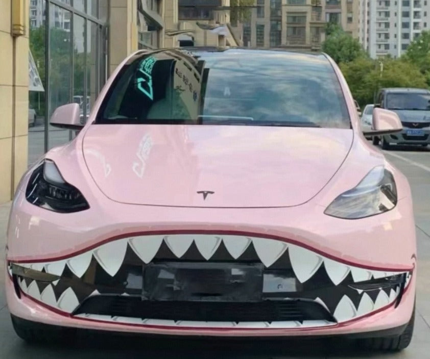 Shark Snout Sticker