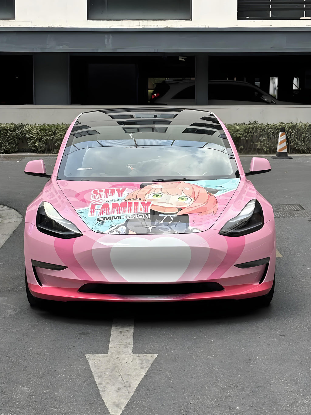 Aniya A Car Wrap