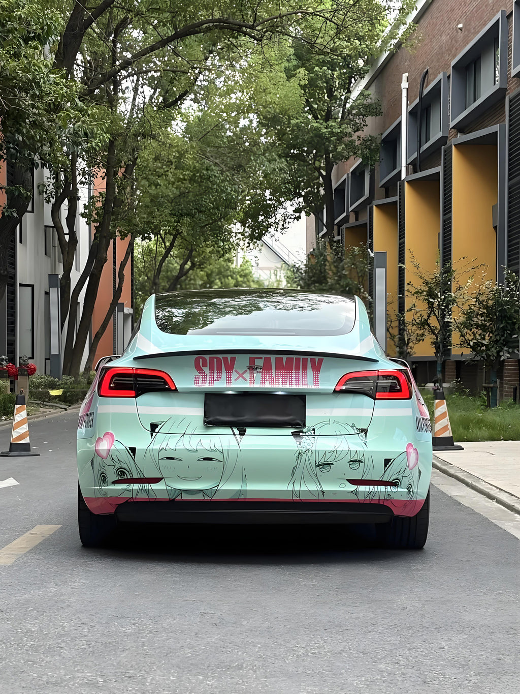 Aniya A Car Wrap