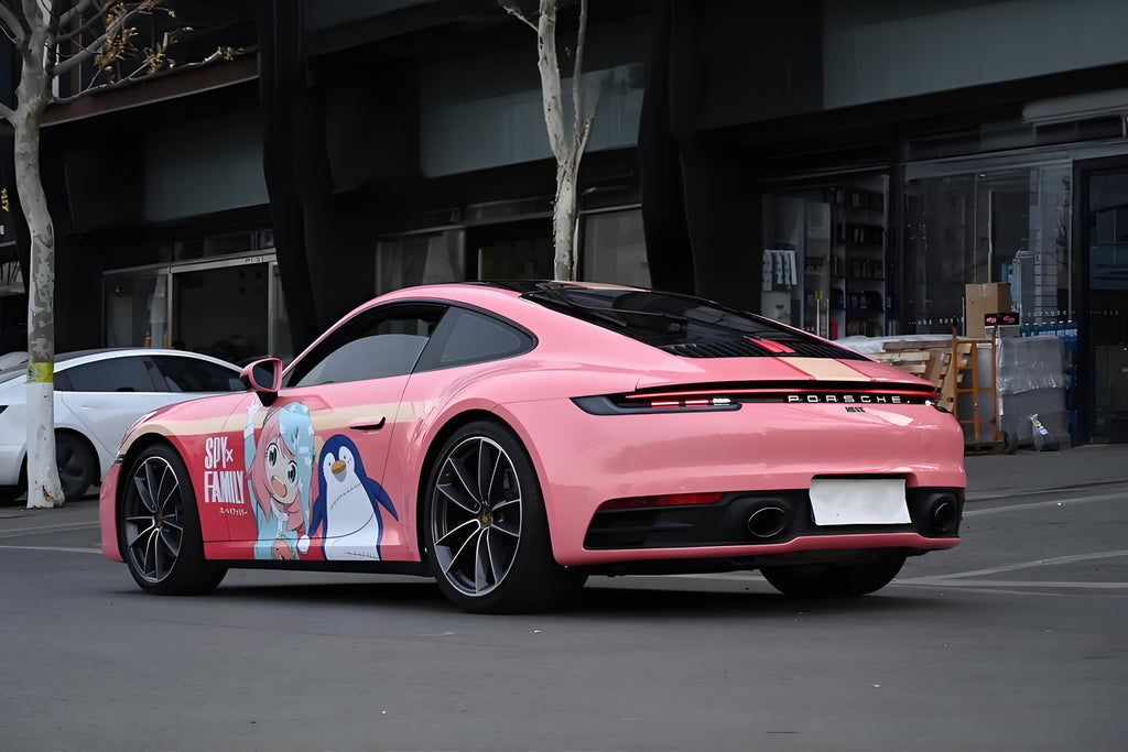 Aniya C Car Wrap