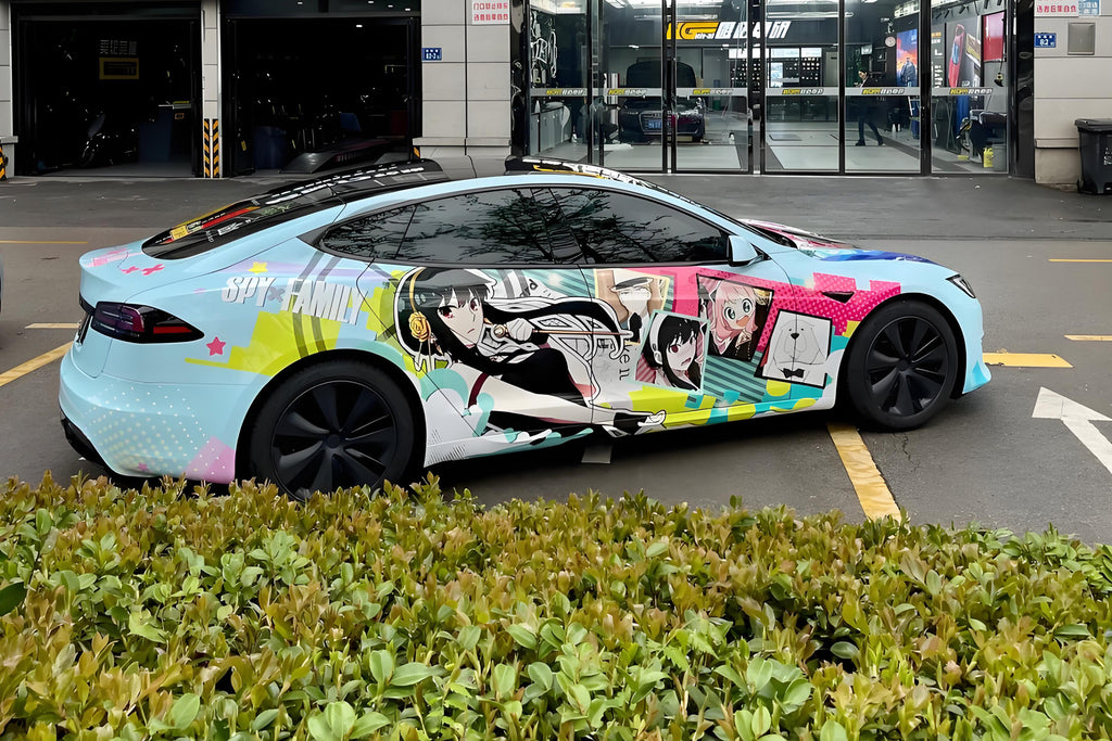 Aniya D Car Wrap