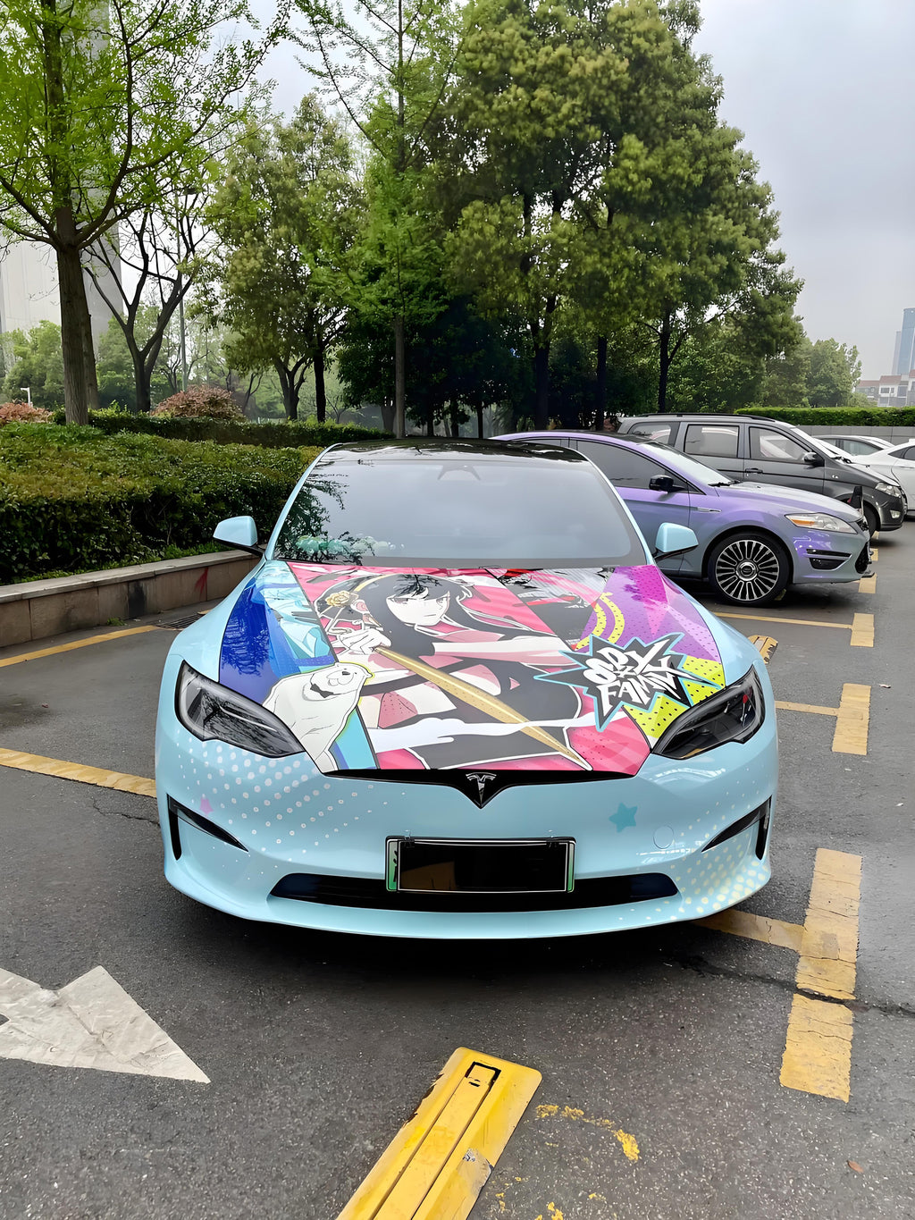 Aniya D Car Wrap