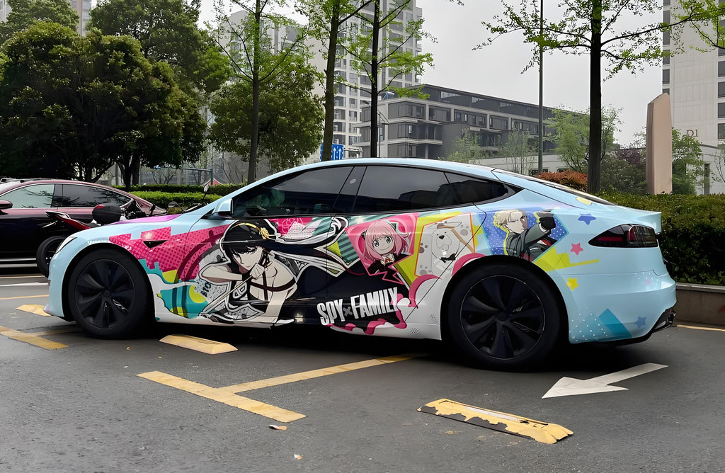 Aniya D Car Wrap