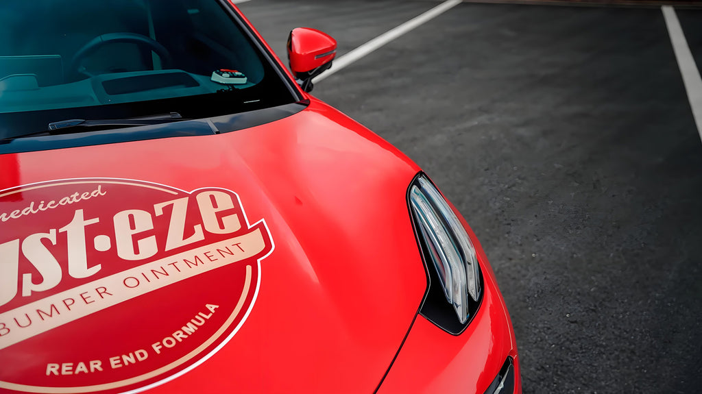 Cars Full Size Car Wrap [UW-34]