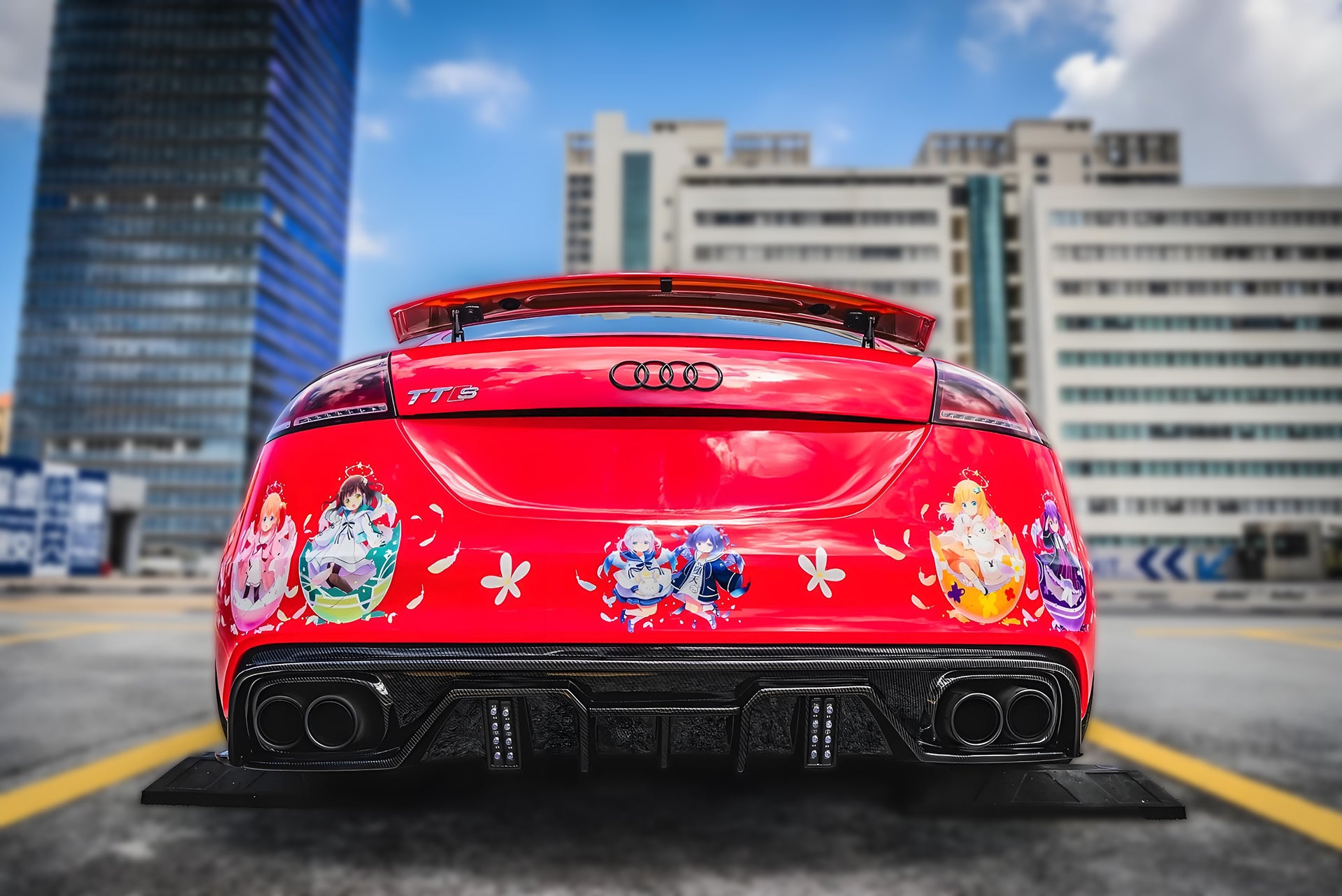 Is the order a Rabbit B Car Wrap [AW-79]