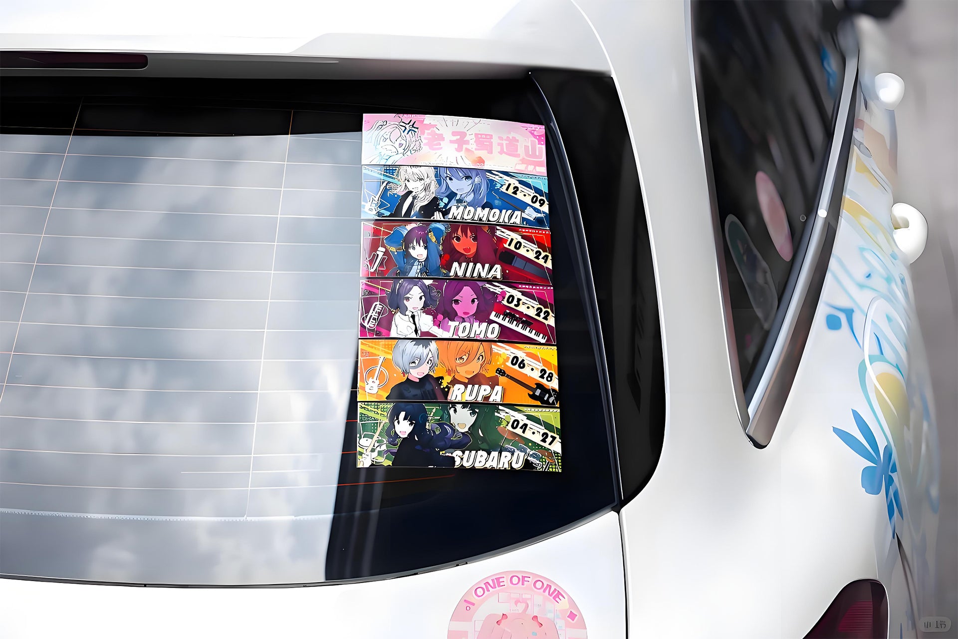 Is the order a Rabbit Car Wrap [AW-01]