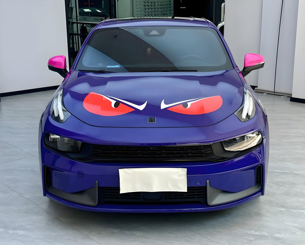 ポケモン フルサイズカーラップ