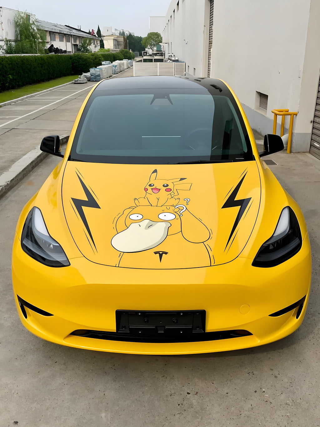 Pokémon B Full Size Car Wrap